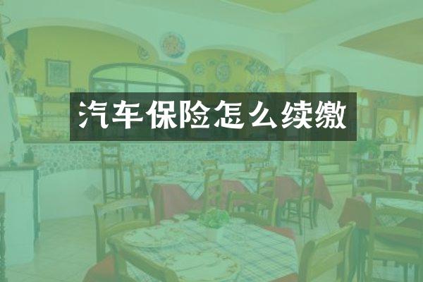 汽车保险怎么续缴