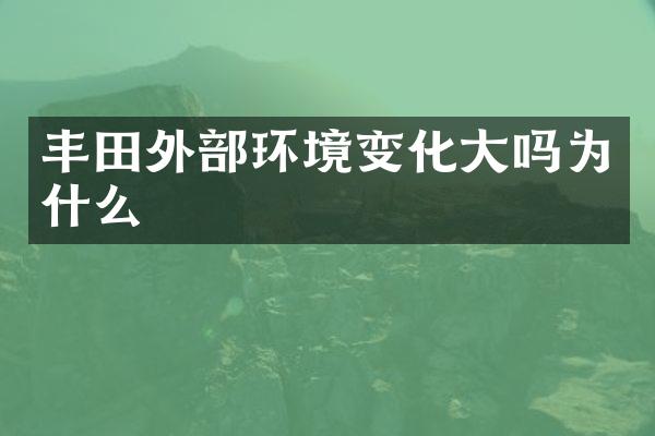 丰田外部环境变化大吗为什么