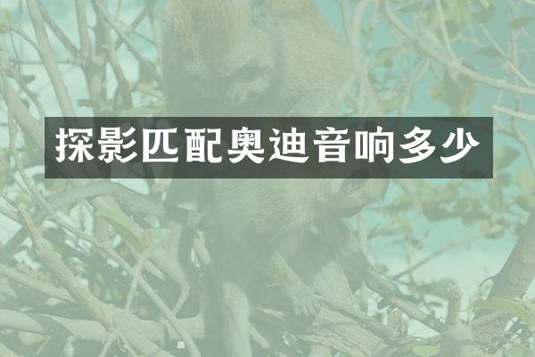 探影匹配奥迪音响多少