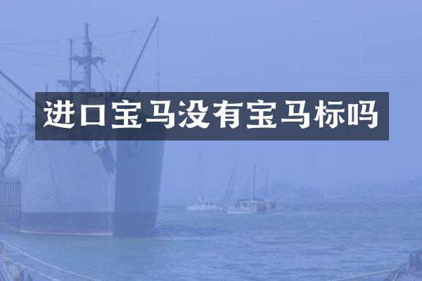进口宝马没有宝马标吗