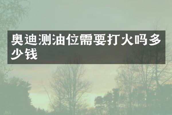 奥迪测油位需要打火吗多少钱