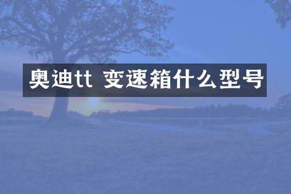 奥迪tt 变速箱什么型号