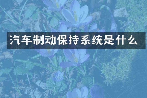 汽车制动保持系统是什么