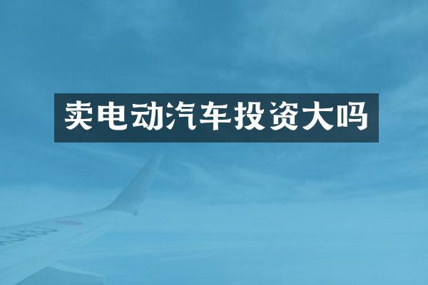 卖电动汽车投资大吗