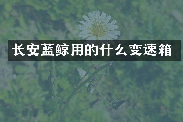 长安蓝鲸用的什么变速箱