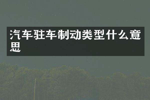 汽车驻车制动类型什么意思