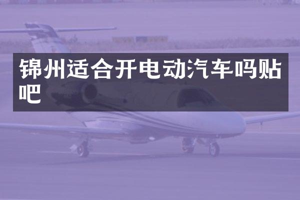 锦州适合开电动汽车吗贴吧