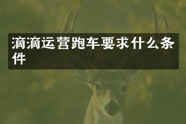 滴滴运营跑车要求什么条件
