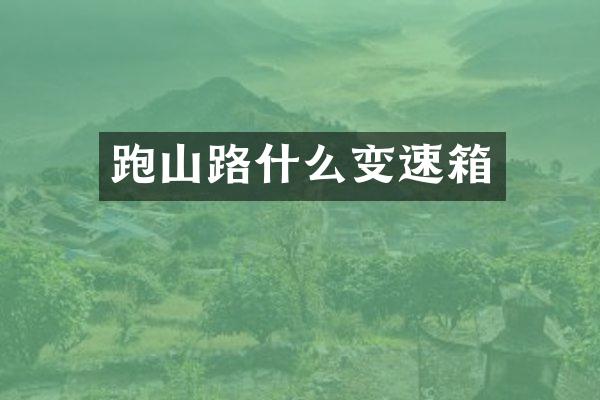 跑山路什么变速箱