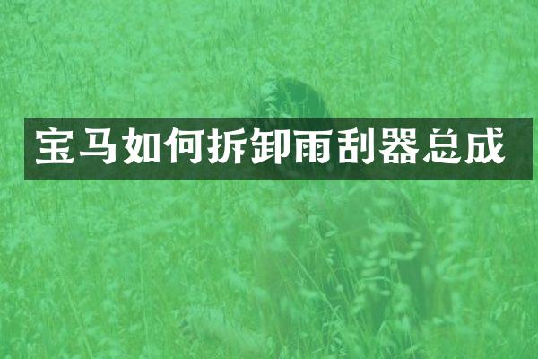 宝马如何拆卸雨刮器总成
