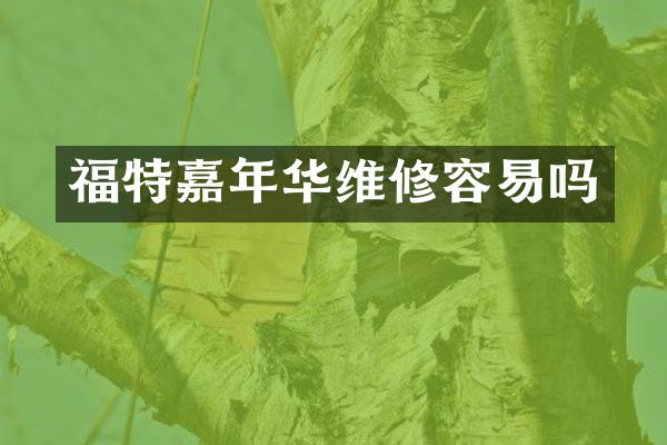 福特嘉年华维修容易吗