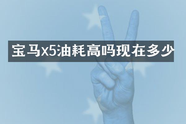 宝马x5油耗高吗现在多少