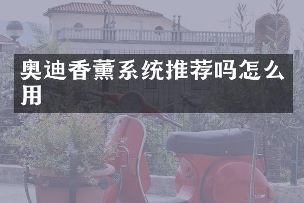 奥迪香薰系统推荐吗怎么用