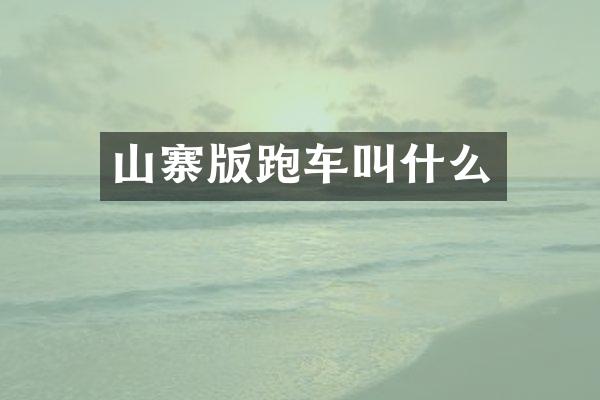 山寨版跑车叫什么