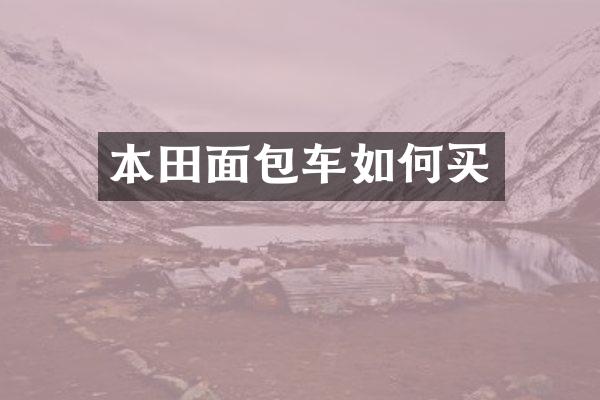 本田面包车如何买