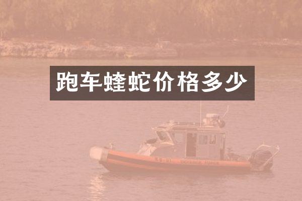跑车蝰蛇价格多少