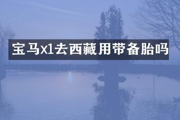 宝马x1去西藏用带备胎吗