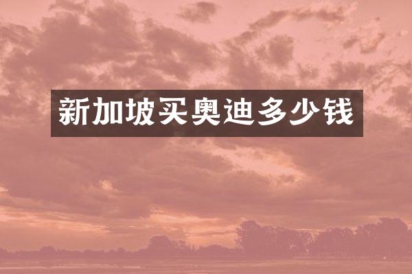 新加坡买奥迪多少钱