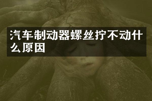 汽车制动器螺丝拧不动什么原因