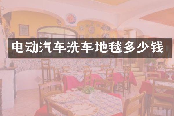 电动汽车洗车地毯多少钱