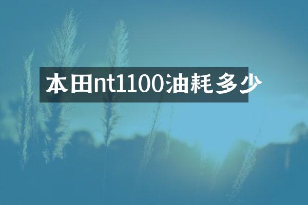 本田nt1100油耗多少