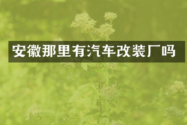 安徽那里有汽车改装厂吗