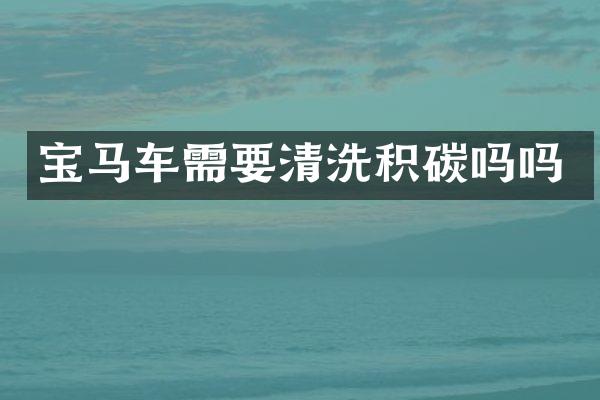 宝马车需要清洗积碳吗吗