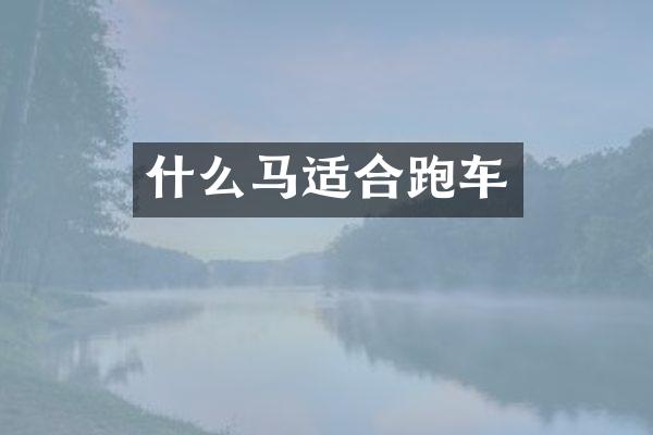 什么马适合跑车