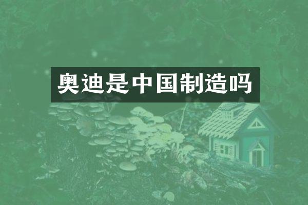 奥迪是中国制造吗