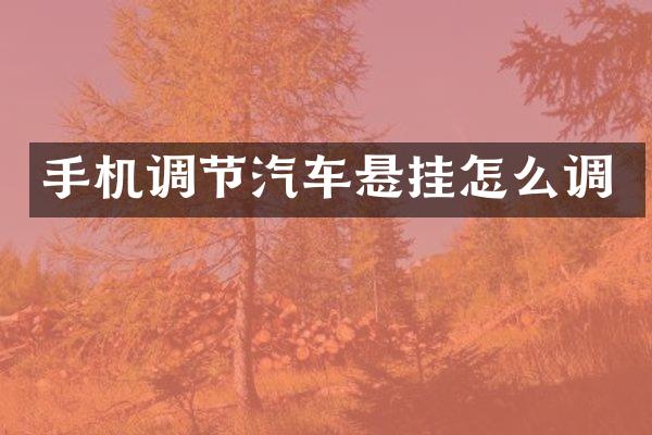 手机调节汽车悬挂怎么调