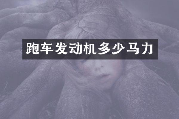 跑车发动机多少马力