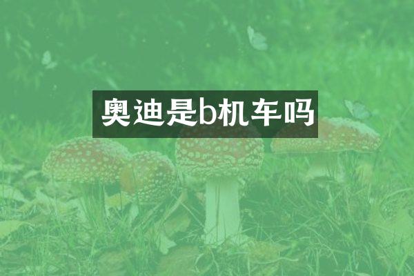 奥迪是b机车吗