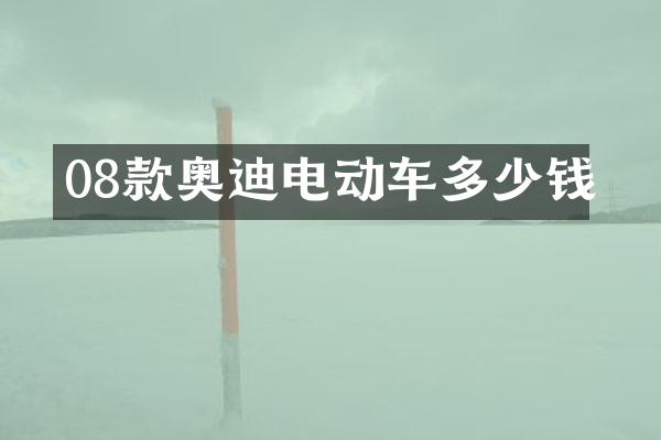 08款奥迪电动车多少钱