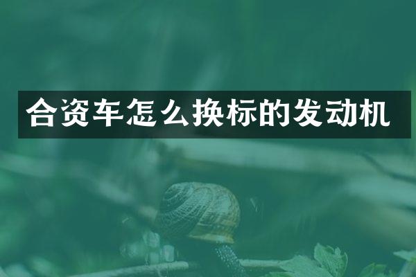 合资车怎么换标的发动机