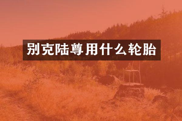 别克陆尊用什么轮胎