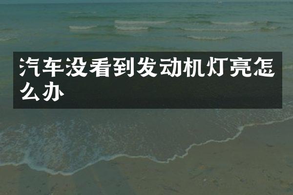 汽车没看到发动机灯亮怎么办