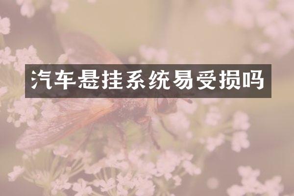 汽车悬挂系统易受损吗