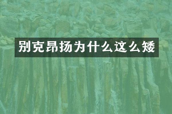 别克昂扬为什么这么矮