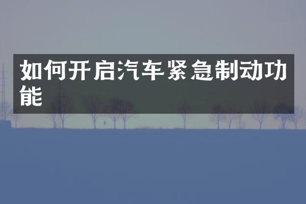 如何开启汽车紧急制动功能