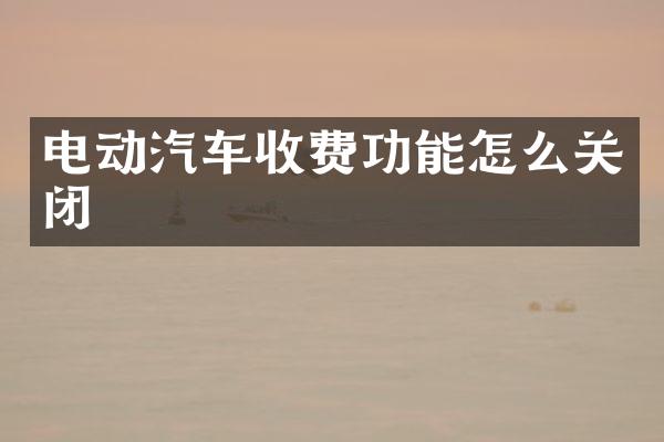 电动汽车收费功能怎么关闭