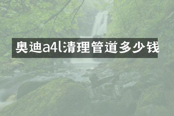 奥迪a4l清理管道多少钱