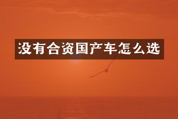 没有合资国产车怎么选