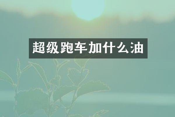 超级跑车加什么油