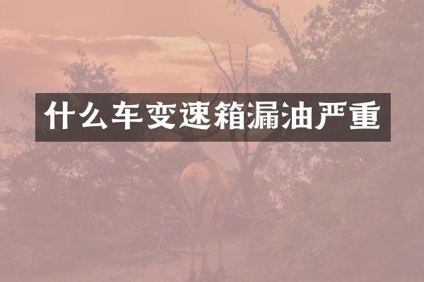 什么车变速箱漏油严重