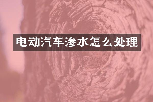 电动汽车渗水怎么处理