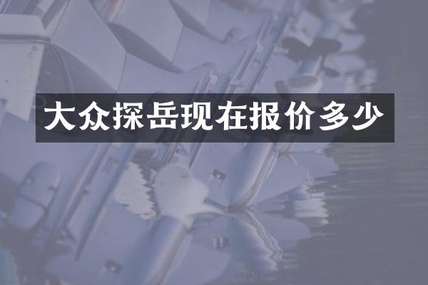 大众探岳现在报价多少