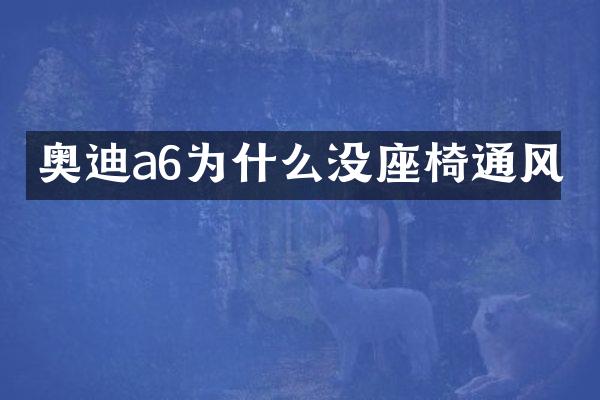 奥迪a6为什么没座椅通风