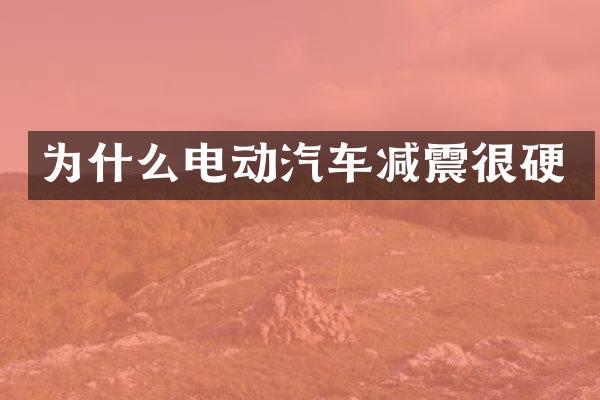 为什么电动汽车减震很硬
