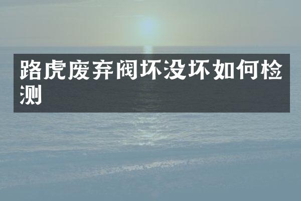 路虎废弃阀坏没坏如何检测