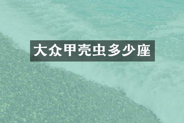 大众甲壳虫多少座